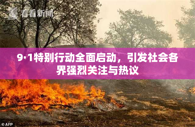 9·1特别行动全面启动，引发社会各界强烈关注与热议