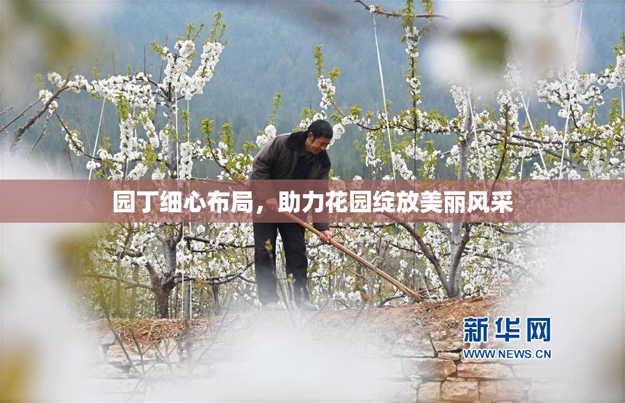 园丁细心布局，助力花园绽放美丽风采