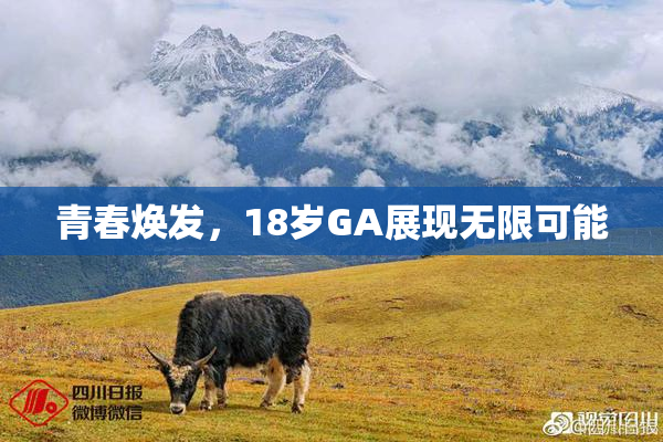 青春焕发，18岁GA展现无限可能