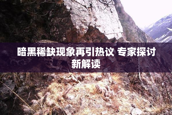 暗黑稀缺现象再引热议 专家探讨新解读