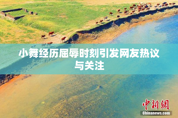 小舞经历屈辱时刻引发网友热议与关注