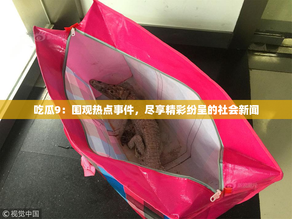吃瓜9：围观热点事件，尽享精彩纷呈的社会新闻
