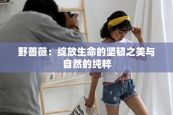 野蔷薇：绽放生命的坚韧之美与自然的纯粹