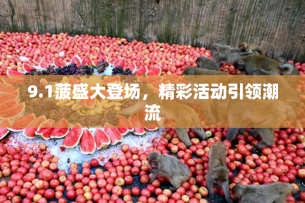 9.1菠盛大登场，精彩活动引领潮流