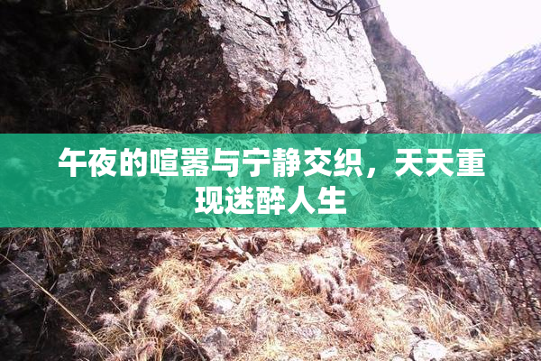 午夜的喧嚣与宁静交织，天天重现迷醉人生