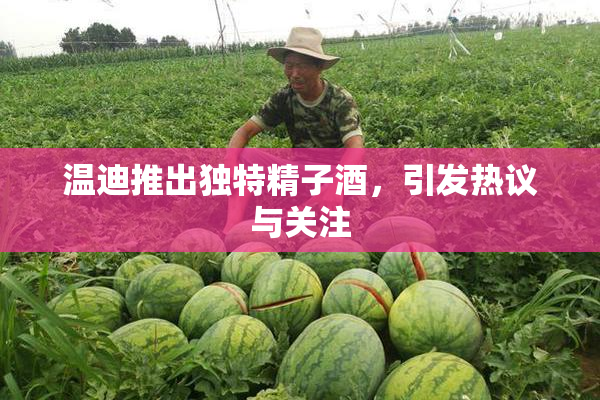 温迪推出独特精子酒，引发热议与关注