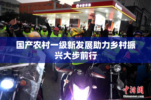 国产农村一级新发展助力乡村振兴大步前行