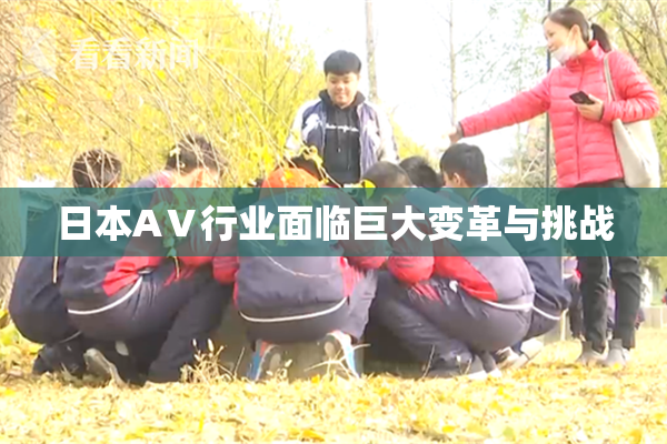 日本AⅤ行业面临巨大变革与挑战