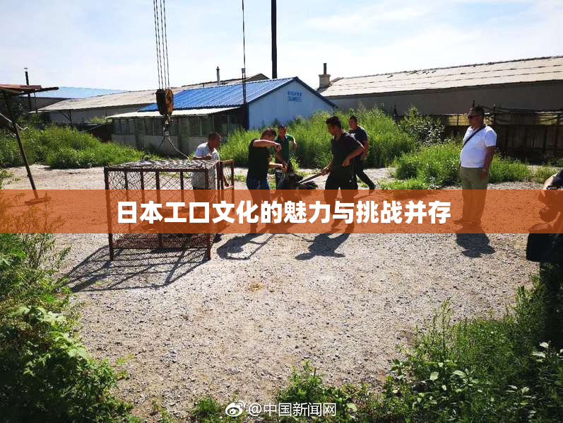 日本工口文化的魅力与挑战并存