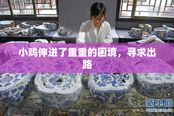 小鸡伸进了重重的困境，寻求出路