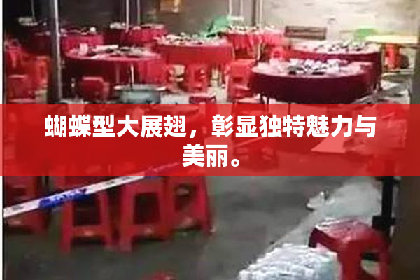 蝴蝶型大展翅，彰显独特魅力与美丽。