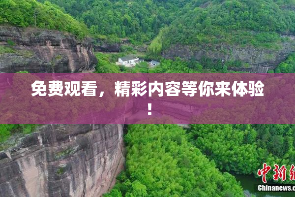 免费观看，精彩内容等你来体验！