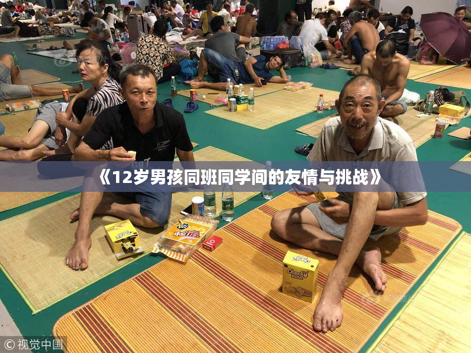《12岁男孩同班同学间的友情与挑战》