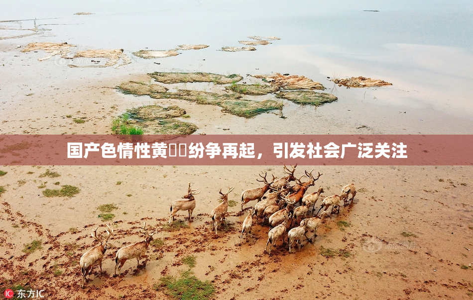 国产色情性黄❌‌纷争再起，引发社会广泛关注