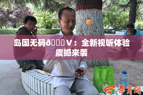 岛国无码🈚Ⅴ：全新视听体验震撼来袭