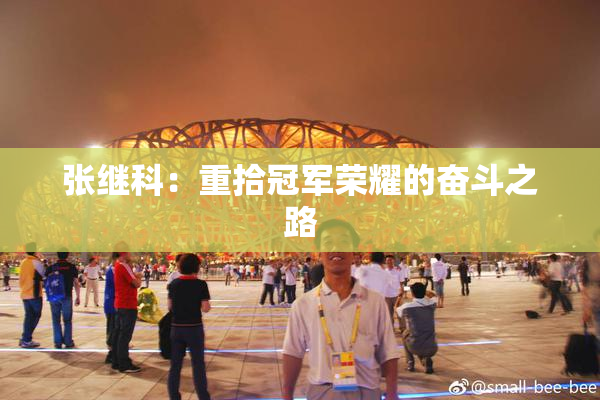 张继科：重拾冠军荣耀的奋斗之路
