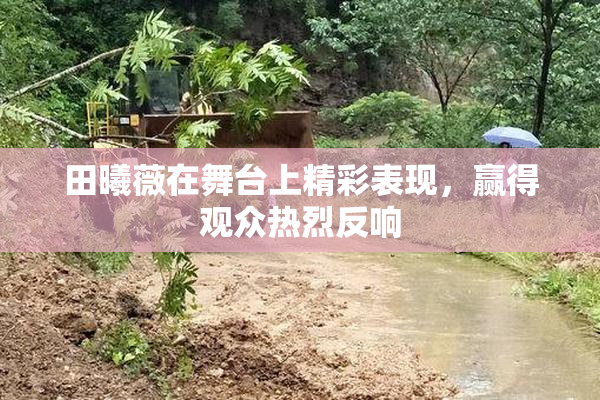 田曦薇在舞台上精彩表现，赢得观众热烈反响
