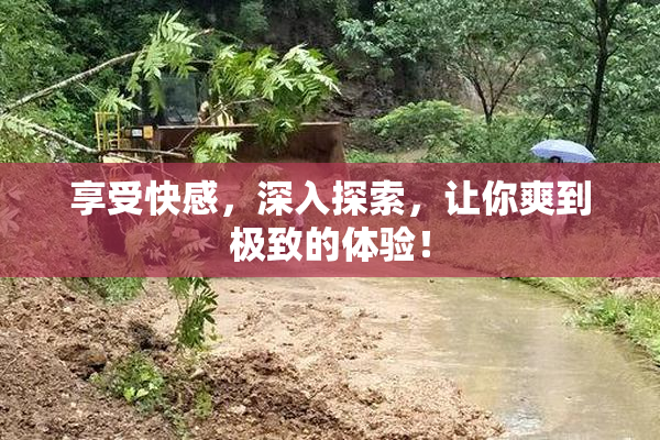 享受快感，深入探索，让你爽到极致的体验！