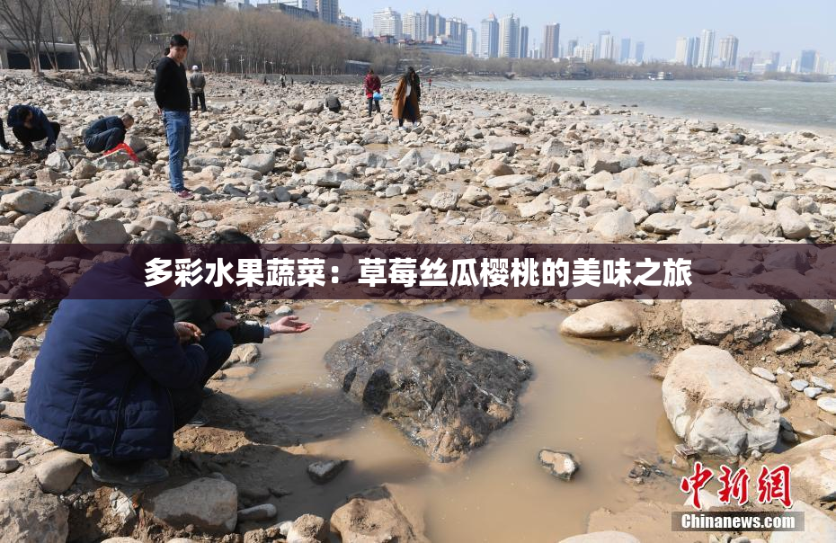 多彩水果蔬菜：草莓丝瓜樱桃的美味之旅