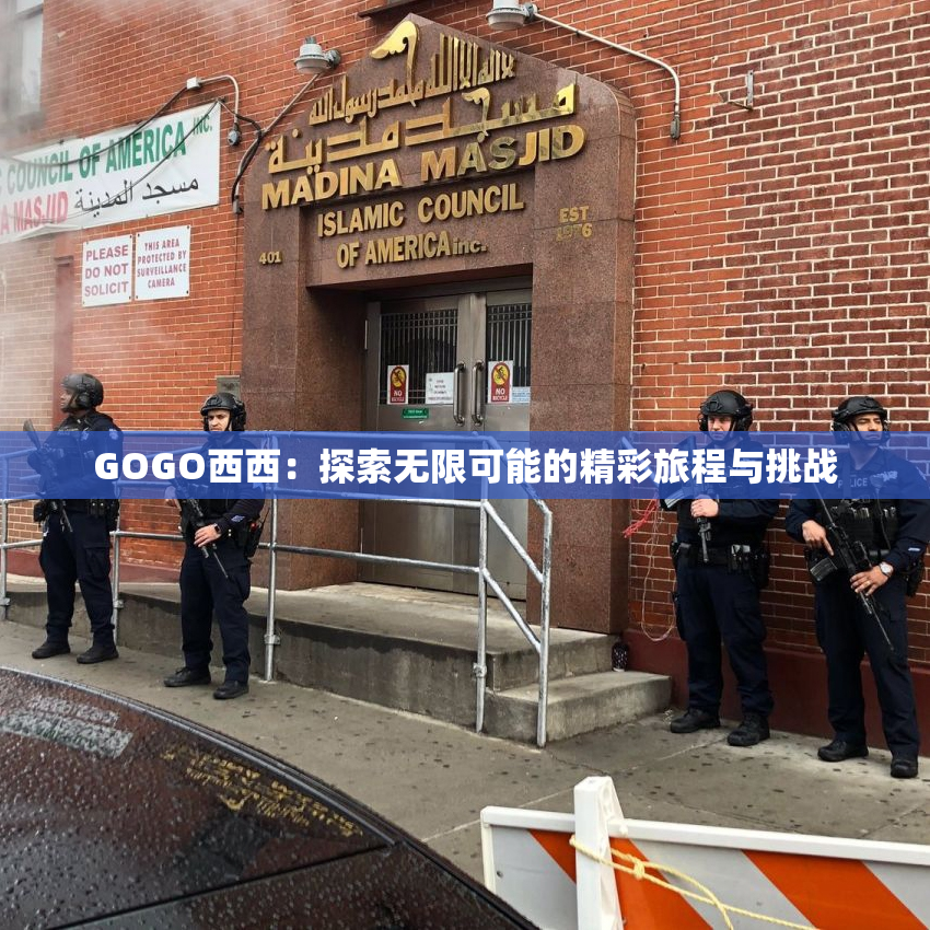 GOGO西西：探索无限可能的精彩旅程与挑战