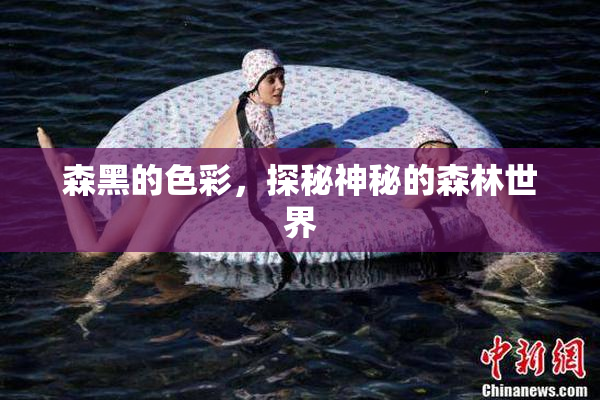 森黑的色彩，探秘神秘的森林世界
