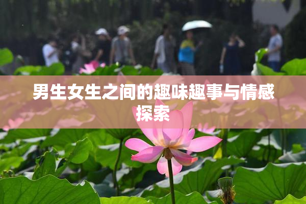 男生女生之间的趣味趣事与情感探索