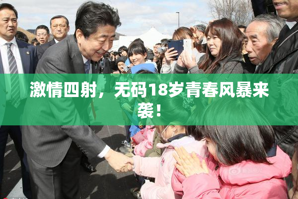 激情四射，无码18岁青春风暴来袭！