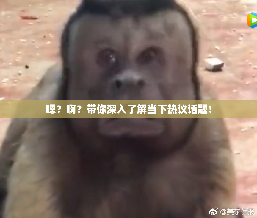 嗯？啊？带你深入了解当下热议话题！