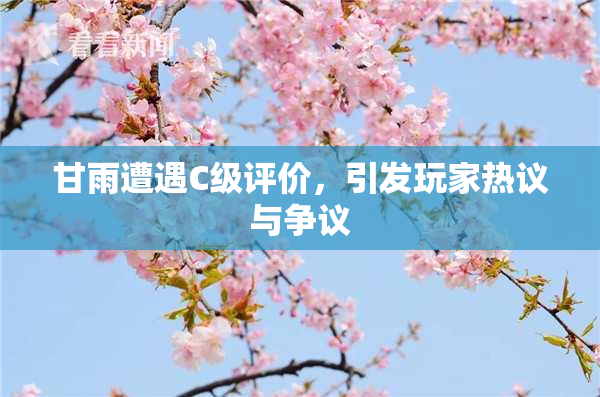 甘雨遭遇C级评价，引发玩家热议与争议