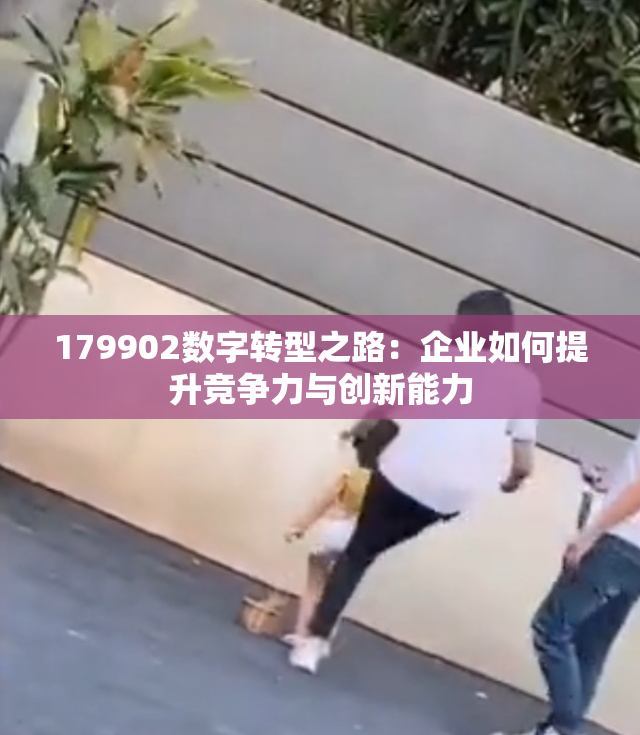179902数字转型之路：企业如何提升竞争力与创新能力