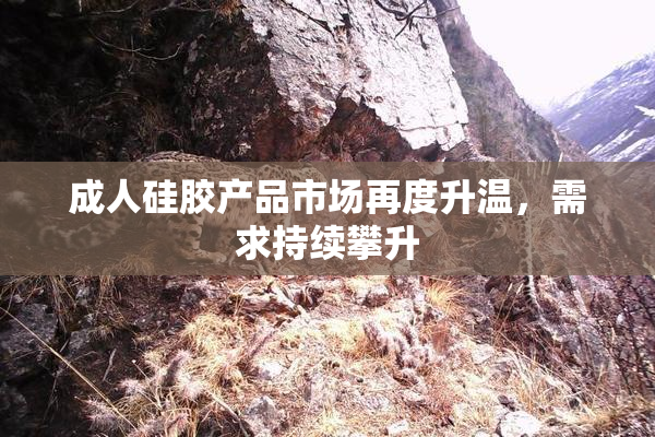成人硅胶产品市场再度升温，需求持续攀升