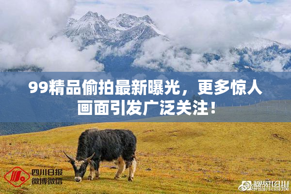 99精品偷拍最新曝光，更多惊人画面引发广泛关注！