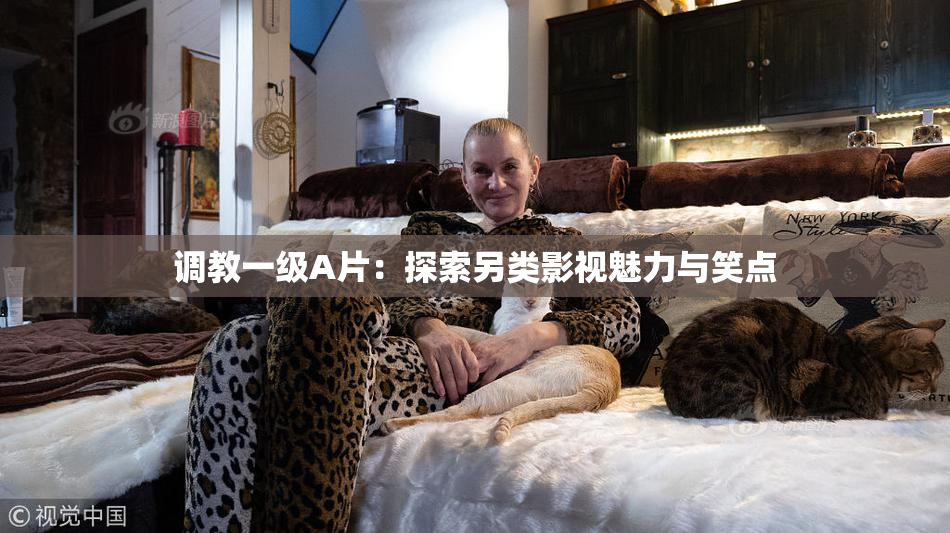 调教一级A片：探索另类影视魅力与笑点