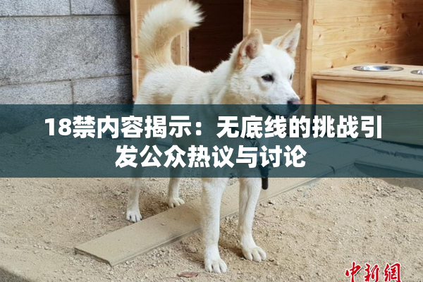 18禁内容揭示：无底线的挑战引发公众热议与讨论
