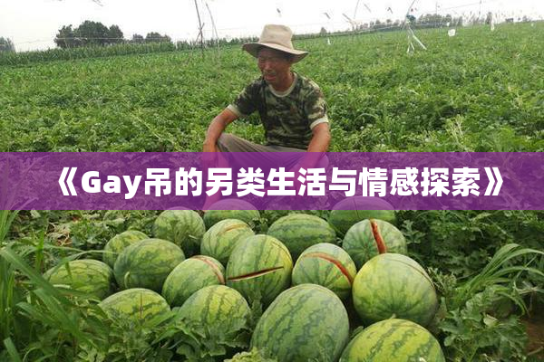 《Gay吊的另类生活与情感探索》