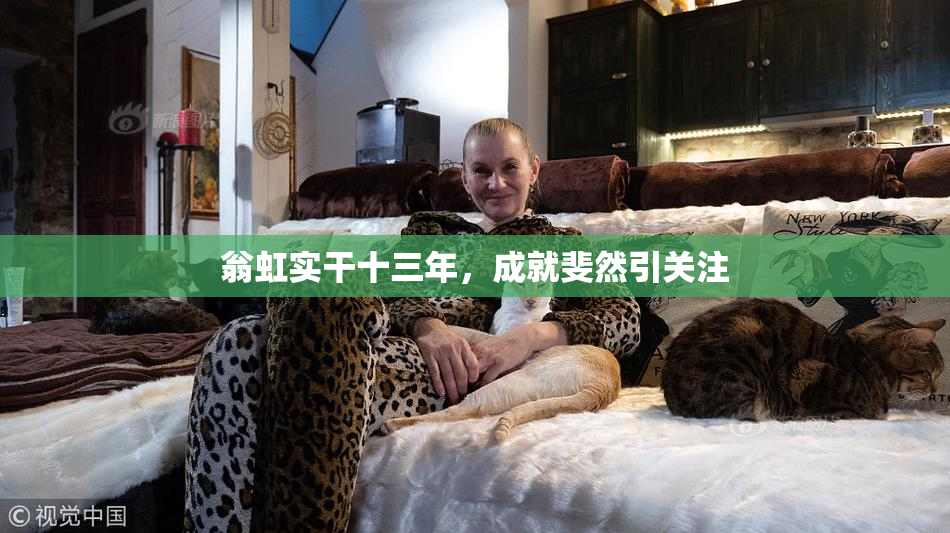 翁虹实干十三年，成就斐然引关注