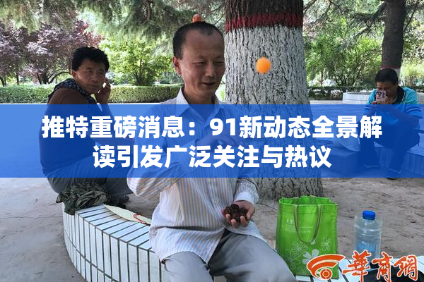推特重磅消息：91新动态全景解读引发广泛关注与热议