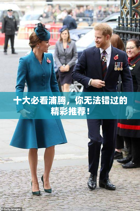 十大必看浦腾，你无法错过的精彩推荐！