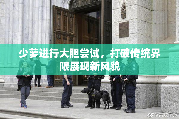 少萝进行大胆尝试，打破传统界限展现新风貌