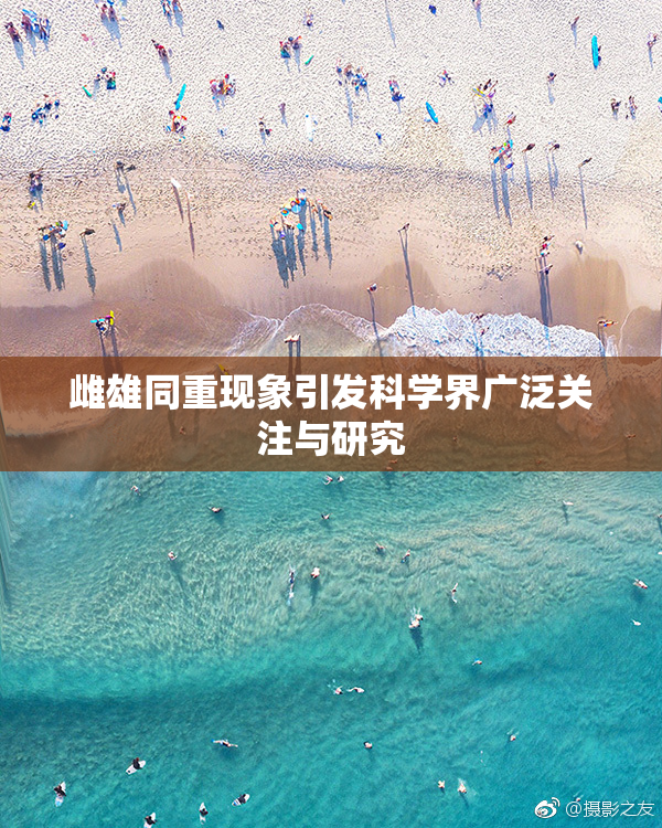 雌雄同重现象引发科学界广泛关注与研究