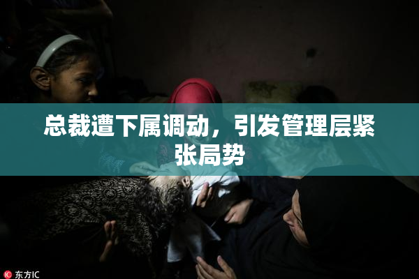 总裁遭下属调动，引发管理层紧张局势