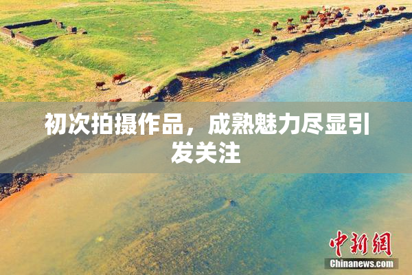 初次拍摄作品，成熟魅力尽显引发关注