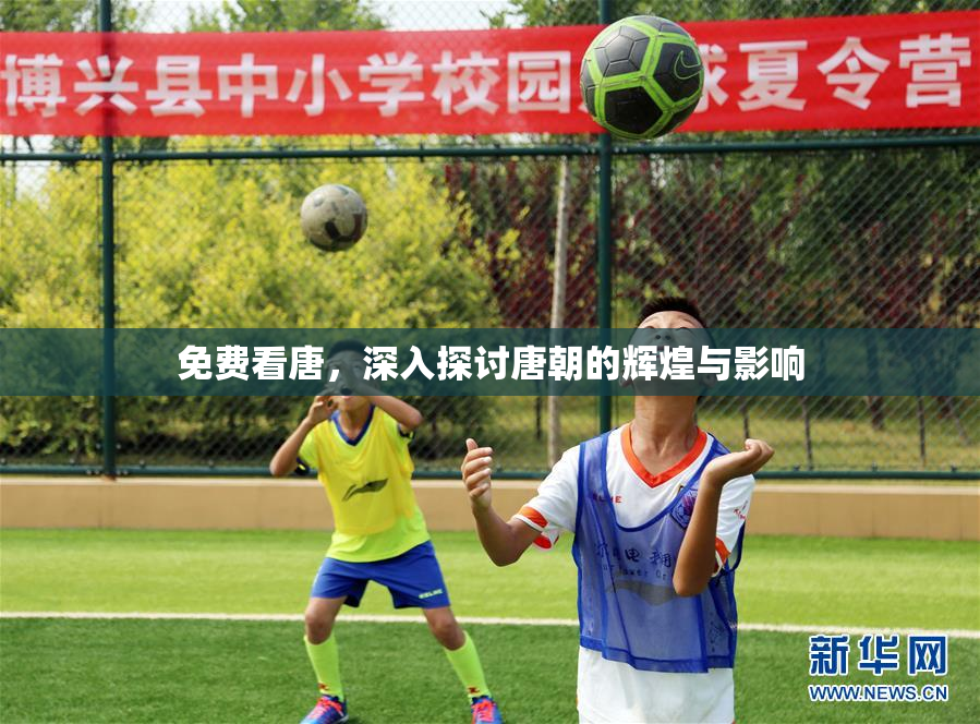 免费看唐，深入探讨唐朝的辉煌与影响