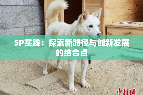 SP实践：探索新路径与创新发展的结合点