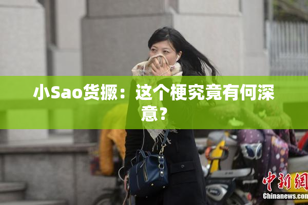 小Sao货撅：这个梗究竟有何深意？