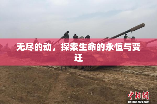 无尽的动，探索生命的永恒与变迁