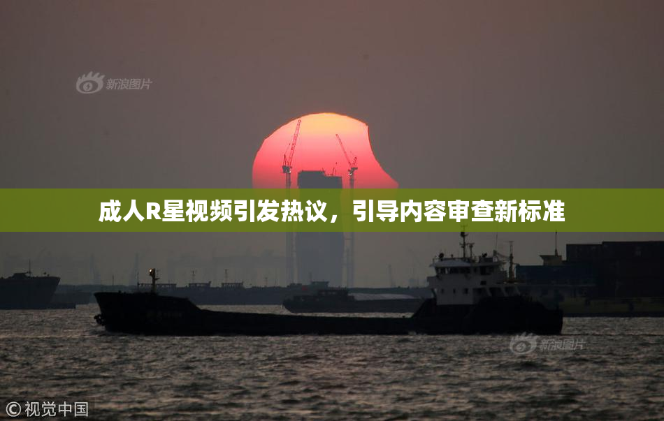 成人R星视频引发热议，引导内容审查新标准