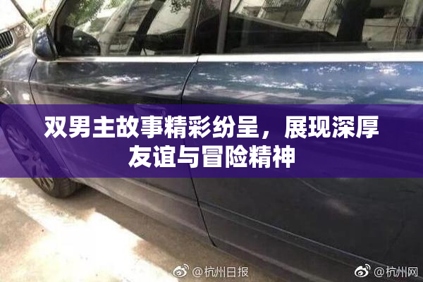 双男主故事精彩纷呈，展现深厚友谊与冒险精神