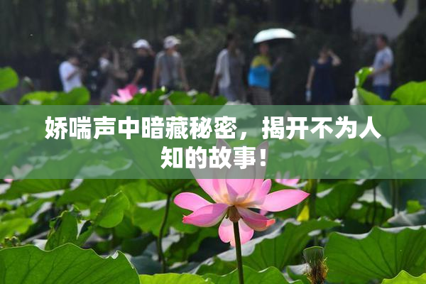娇喘声中暗藏秘密，揭开不为人知的故事！