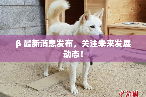 β 最新消息发布，关注未来发展动态！